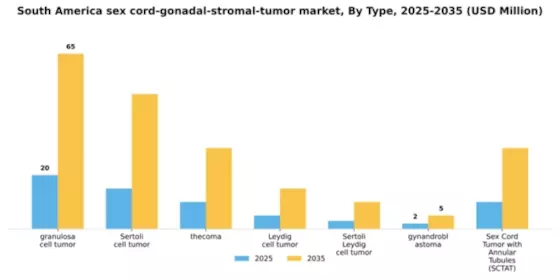 South America Sex Cord Gonadal Stromal Tumor Market Segment Image 3