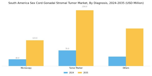 South America Sex Cord Gonadal Stromal Tumor Market Segment Image 1