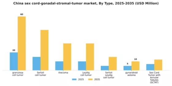 China Sex Cord Gonadal Stromal Tumor Market Segment Image 3