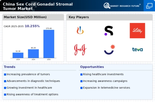 China Sex Cord Gonadal Stromal Tumor Market Infographic