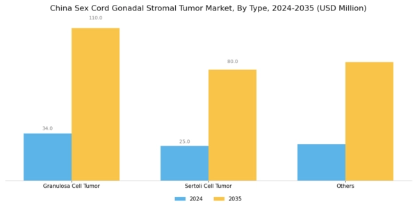 China Sex Cord Gonadal Stromal Tumor Market Segment Image 0