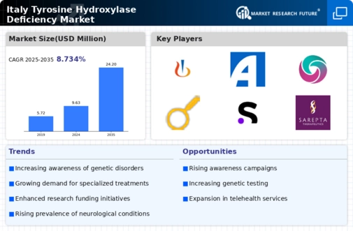 Italy Tyrosine Hydroxylase Deficiency Market Infographic