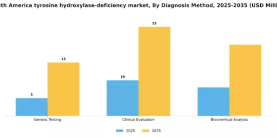South America Tyrosine Hydroxylase Deficiency Market Segment Image 0