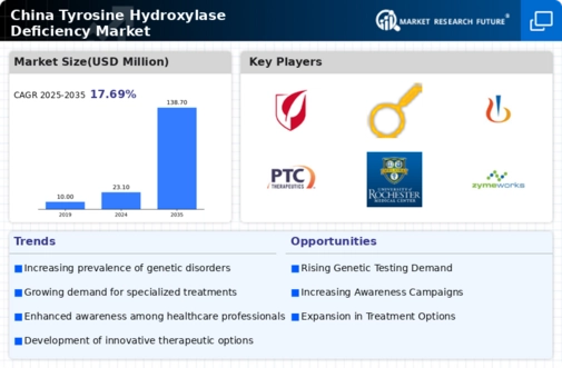 China Tyrosine Hydroxylase Deficiency Market Infographic