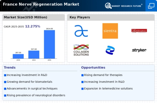 France Nerve Regeneration Market Infographic