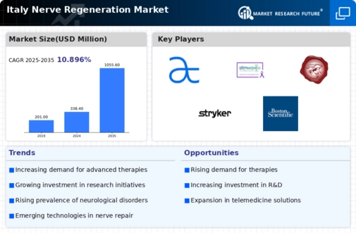 Italy Nerve Regeneration Market Infographic