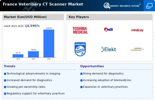 France Veterinary CT Scanner Market Infographic