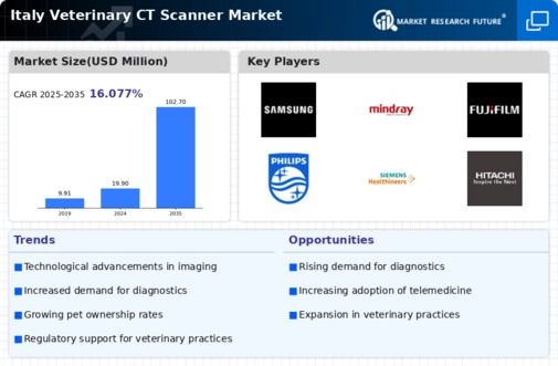Italy Veterinary CT Scanner Market Infographic