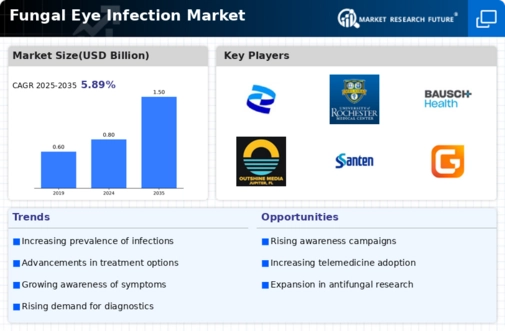 Fungal Eye Infection Market Infographic