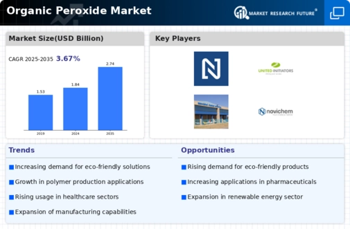 Organic Peroxide Market Infographic
