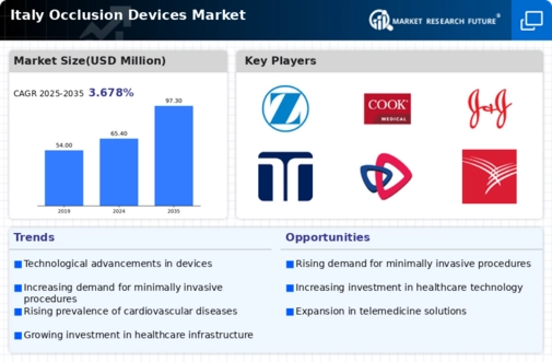 Italy Occlusion Devices Market Infographic