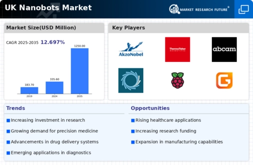 UK Nanobots Market Infographic
