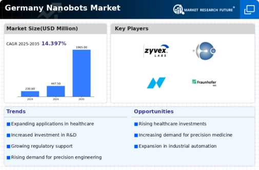 Germany Nanobots Market Infographic