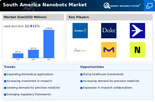 South America Nanobots Market Infographic