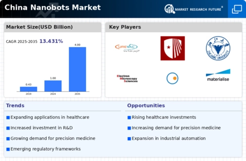 China Nanobots Market Infographic