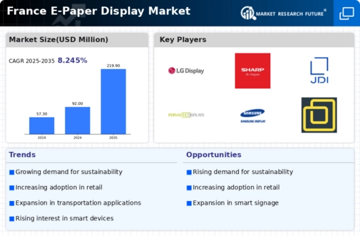 France E Paper Display Market Infographic