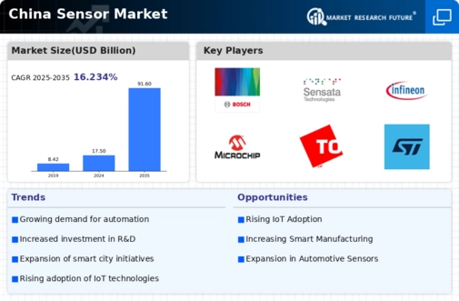 China Sensor Market Infographic