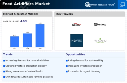 Feed Acidifiers Market Infographic