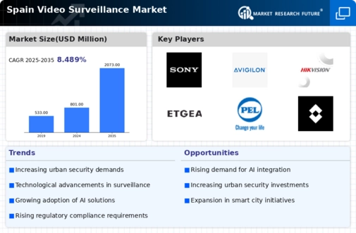 Spain Video Surveillance Market Infographic