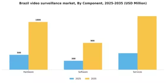 Brazil Video Surveillance Market Segment Image 1