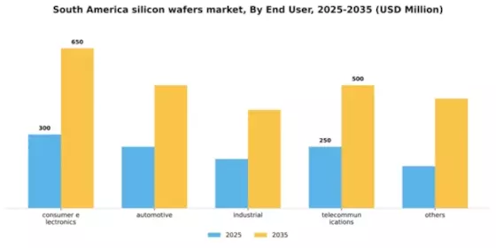 South America Silicon Wafers Market Segment Image 1