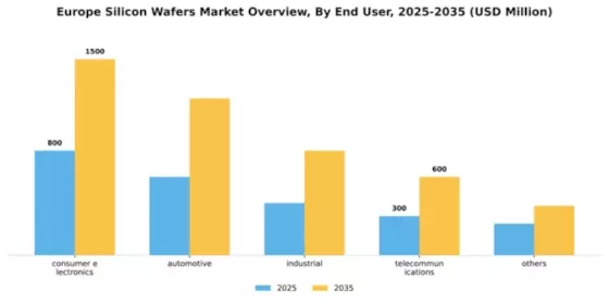 Europe Silicon Wafers Market Segment Image 1