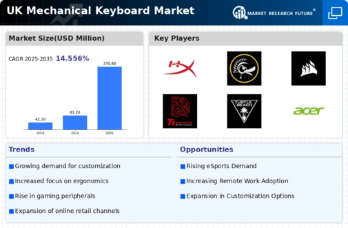 UK Mechanical Keyboard Market Infographic