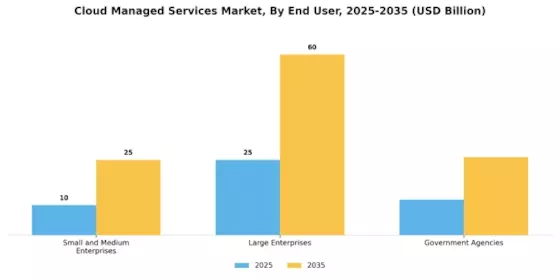 Cloud Managed Services Market Segment Image 1