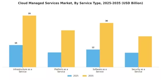 Cloud Managed Services Market Segment Image 3