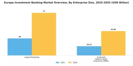 Europe Investment Banking Market Segment Image 1