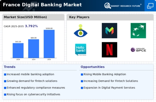 France Digital Banking Market Infographic