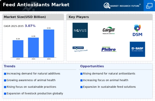 Feed Antioxidants Market Infographic