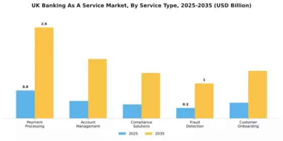 UK Banking as a Service Market Segment Image 3