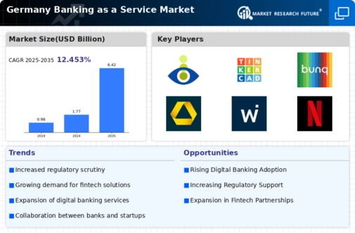 Germany Banking as a Service Market Infographic