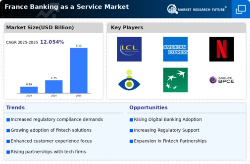 France Banking as a Service Market Infographic