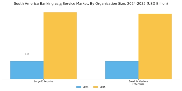 South America Banking as a Service Market Segment Image 1