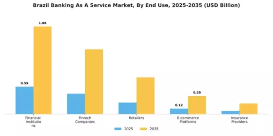Brazil Banking as a Service Market Segment Image 3