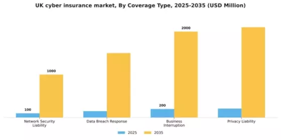UK Cyber Insurance Market Segment Image 1