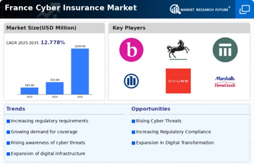 France Cyber Insurance Market Infographic