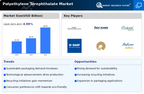 Polyethylene Terephthalate Market Infographic