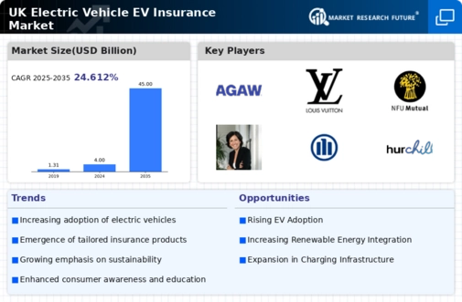 UK Electric Vehicle Insurance Market Infographic