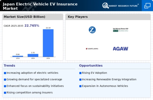 Japan Electric Vehicle Insurance Market Infographic
