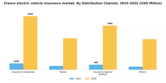 France Electric Vehicle (EV) Insurance Market Segment Image 1