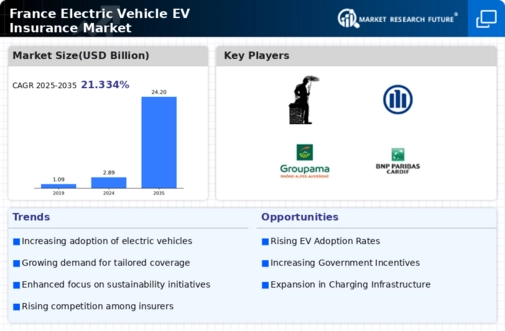 France Electric Vehicle (EV) Insurance Market Infographic