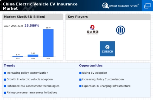 China Electric Vehicle (EV) Insurance Market Infographic