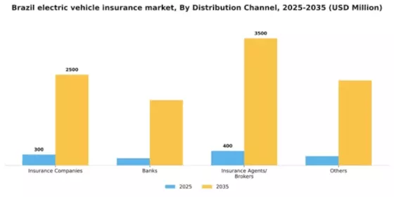 Brazil Electric Vehicle (EV) Insurance Market Segment Image 1
