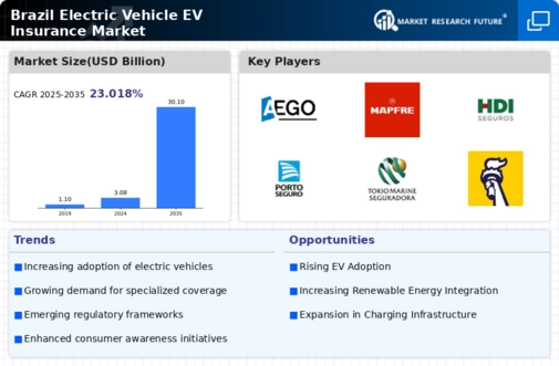 Brazil Electric Vehicle (EV) Insurance Market Infographic