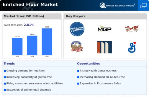Enriched Flour Market Infographic