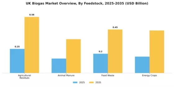 UK Biogas Market Segment Image 1