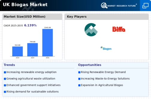 UK Biogas Market Infographic
